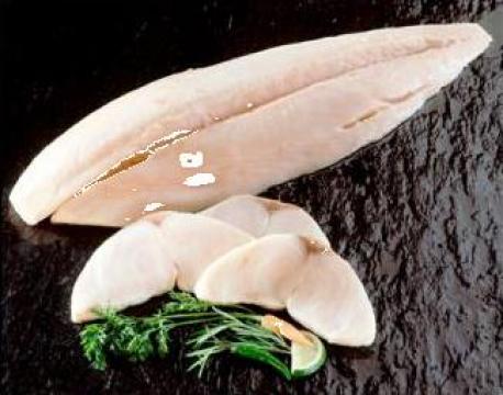 File de Oilfish