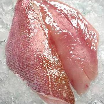 File peste cu piele Red snapper