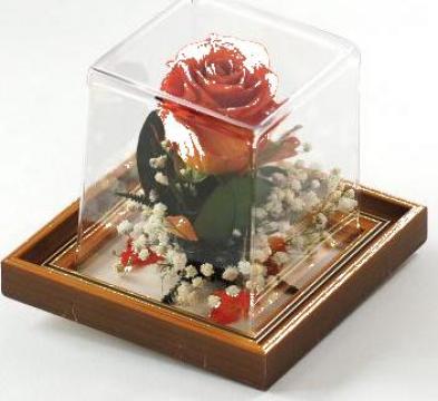 Flori cadouri Colectia Roses
