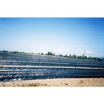 Folie mulcire neagra 17 microni 3m x 1000m