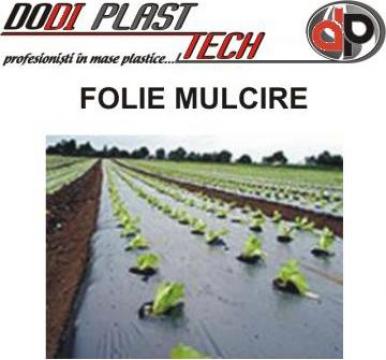 Folie neagra mulcire