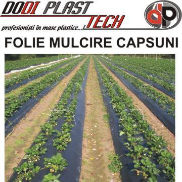 Folie straturi capsuni