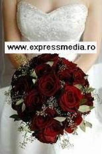 Fotografii profesioniste