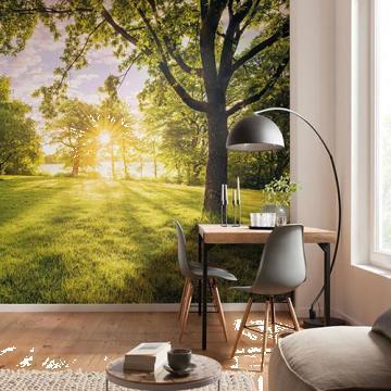 Fototapet 3D Golden Moment 368 cm x 254 cm