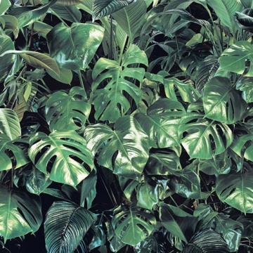 Fototapet 3D Verdure 368 cm x 254 cm