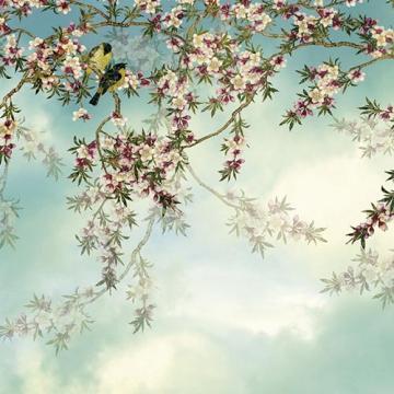 Fototapet Sakura 368 cm x 254 cm