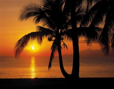 Fototapet cu peisaj exotic Rasarit de soare la mare