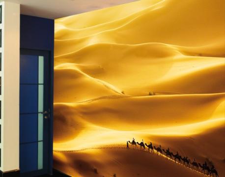 Fototapet vlies cu peisaj Dune aurii