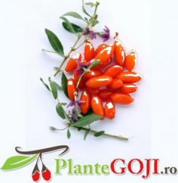 Fructe Goji 1kg