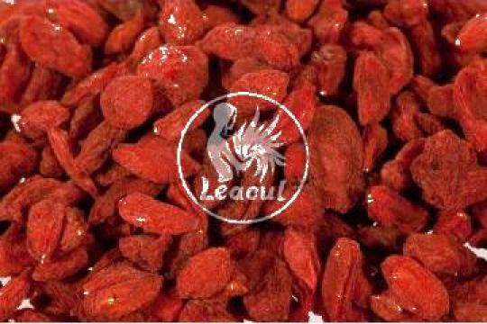 Fructe uscate Goji