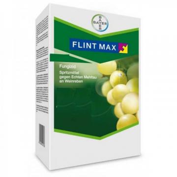 Fungicid Flint Max 75 WG - 1 KG, sistemic