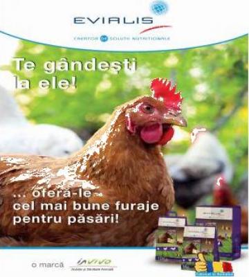 Furaje concentrate Evialis