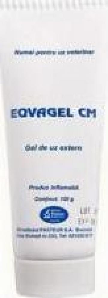 Gel antiseptic uz veterinar Eqvagel 150 ml