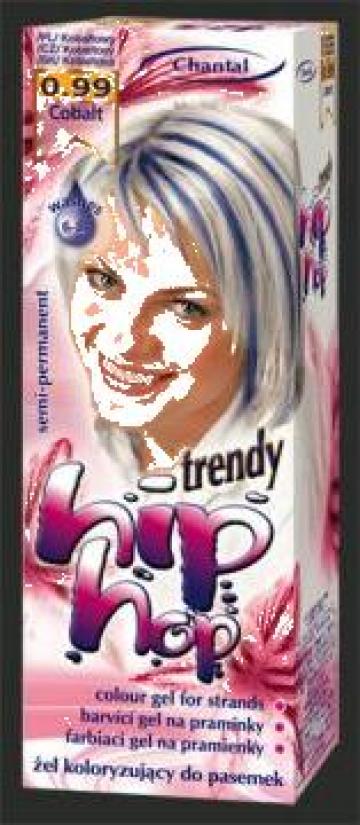 Gel colorant pentru suvite par Hip Hop Trendy
