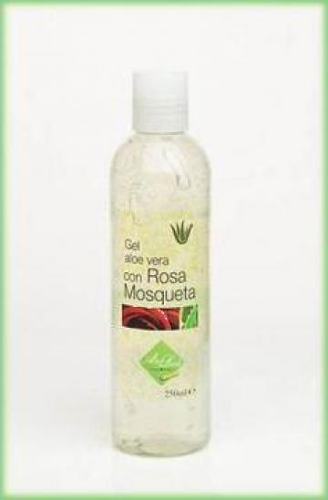 Gel cosmetic cu aloe vera si macese