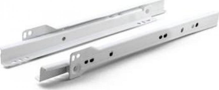 Glisiera alba 300