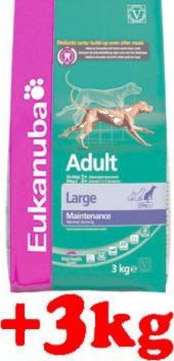 Hrana caini Eukanuba adult large 15+3 kg