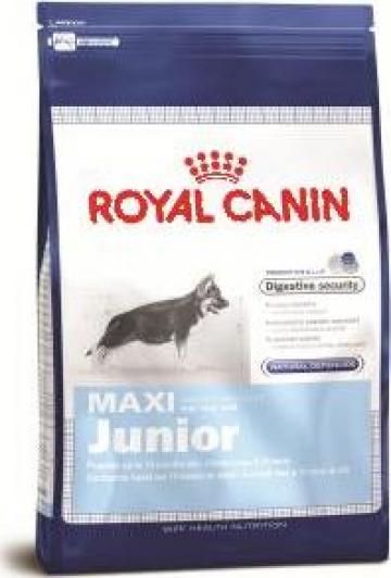 Hrana caini Royal Canin Maxi Junior