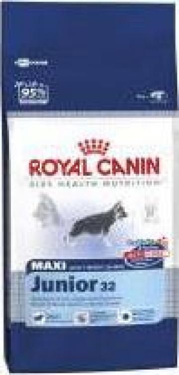 Hrana caini Royal Canin Maxi junior