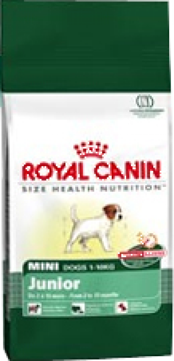 Hrana pentru caini Royal Canin mini junior