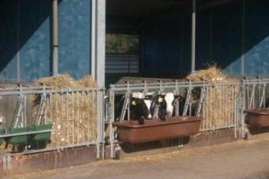 Hranitori si adapatori bovine