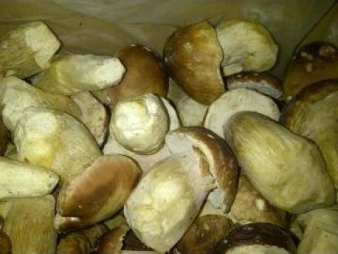 Hribi congelati Boletus Edulis