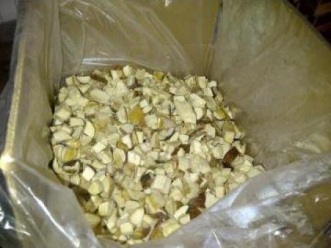Hribi congelati cuburi 1