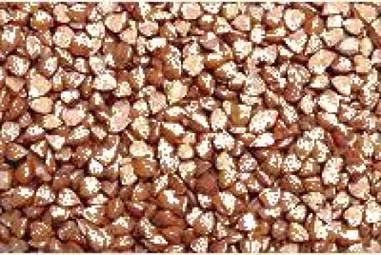 Hrisca import Ucraina
