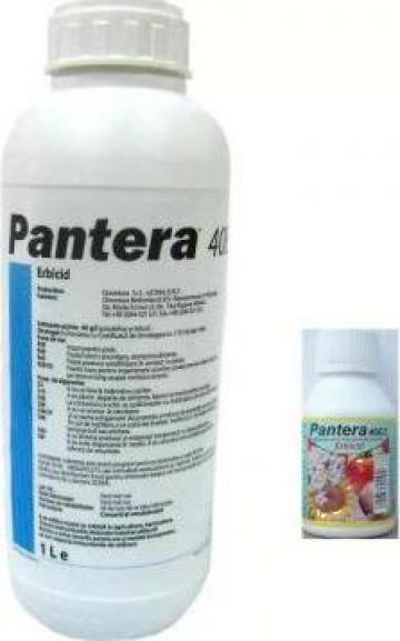 Ierbicid Pantera 40EC