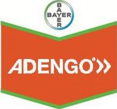 Ierbicid porumb Adengo 465 SC