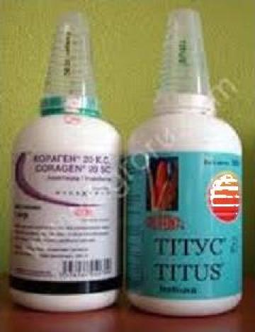 Ierbicide Titus 25WC Basis 75WG Granstar 75 WDG