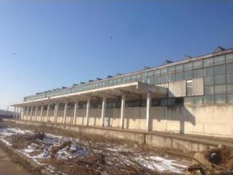Inchiriere hale industriale Hunedoara, Orastie