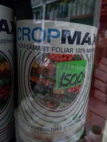 Ingrasamant Cropmax 1 L