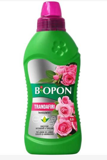 Ingrasamant pentru trandafiri 0,5 litri
