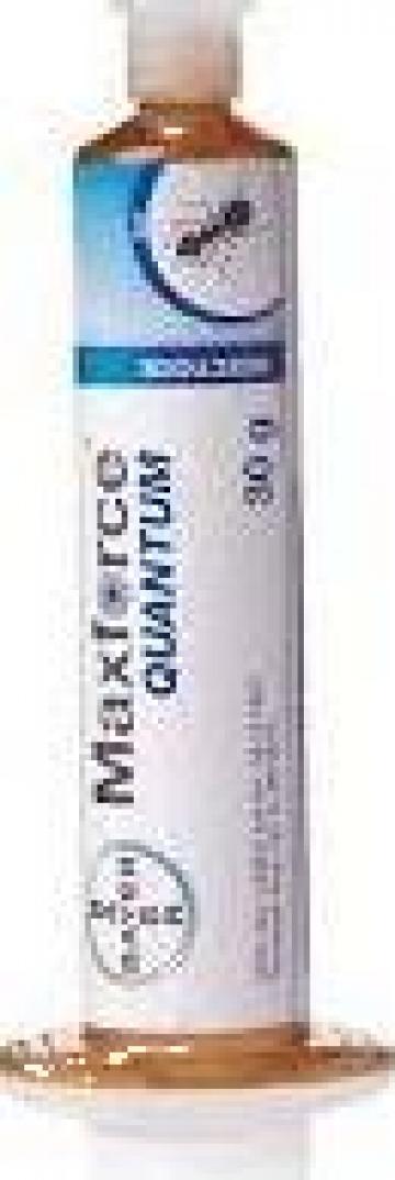 Insecticid Maxforce Quantum Gel