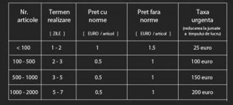 Intocmire devize pentru licitatii