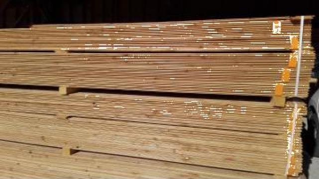 Lambriu Larice (Larix)