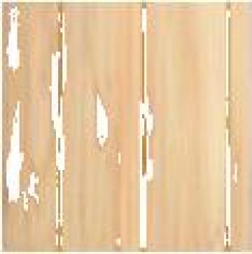 Lambriu MDF si PVC