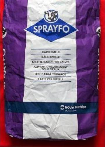 Lapte praf pentru vitei Sprayfo Violet x 20 kg