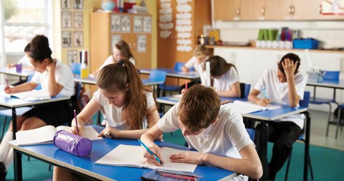 Lectii online de pregatire pentru Examenele nationale