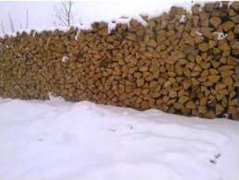 Lemne de foc