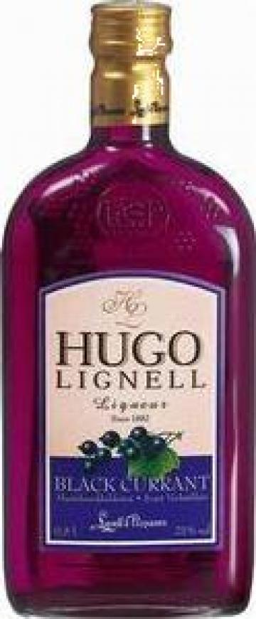 Lichior din coacaze negre Hugo Lignell Black Currant