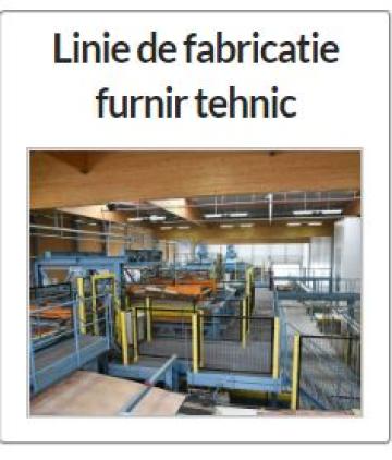 Linie de fabricatie furnir tehnic