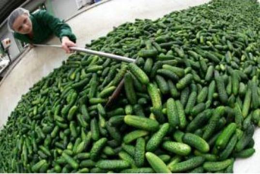 Linii si instalatii procesare ambalare legume fructe