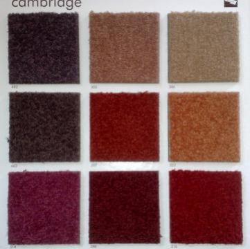 Montaj dale Cambridge