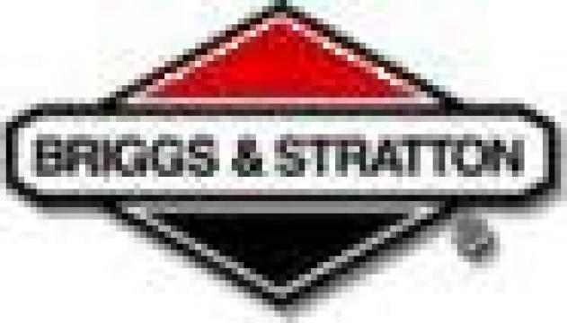 Motoare Briggs&Stratton