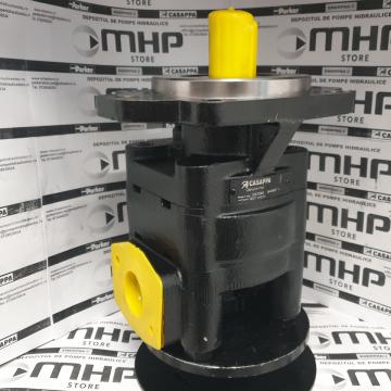 Motor hidraulic FM40.73R0-06S8-LGE/GF-N-CF8 (GSP) Casappa
