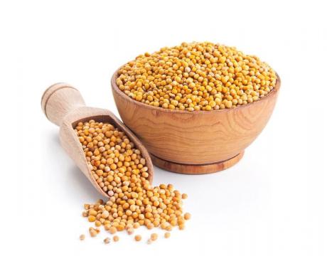 Mustar seminte 5 kg