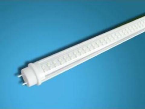 Neon LED T8 Fixture 22 W