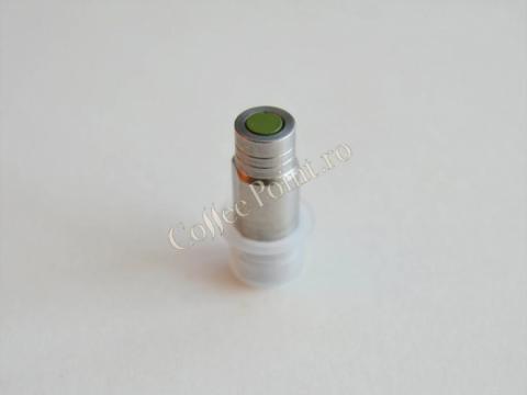 Nucleu solubil Necta